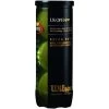 Wilson US Open Tennis Balls